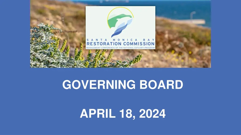 governing board