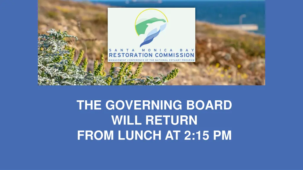 the governing board will return from lunch 11