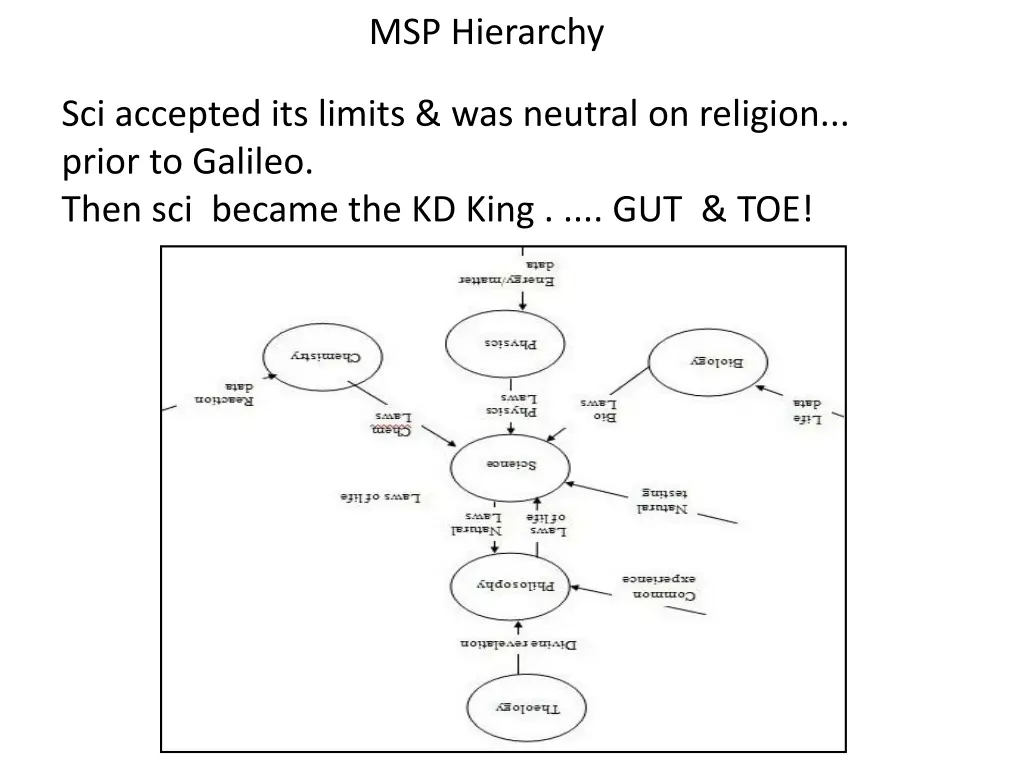 msp hierarchy