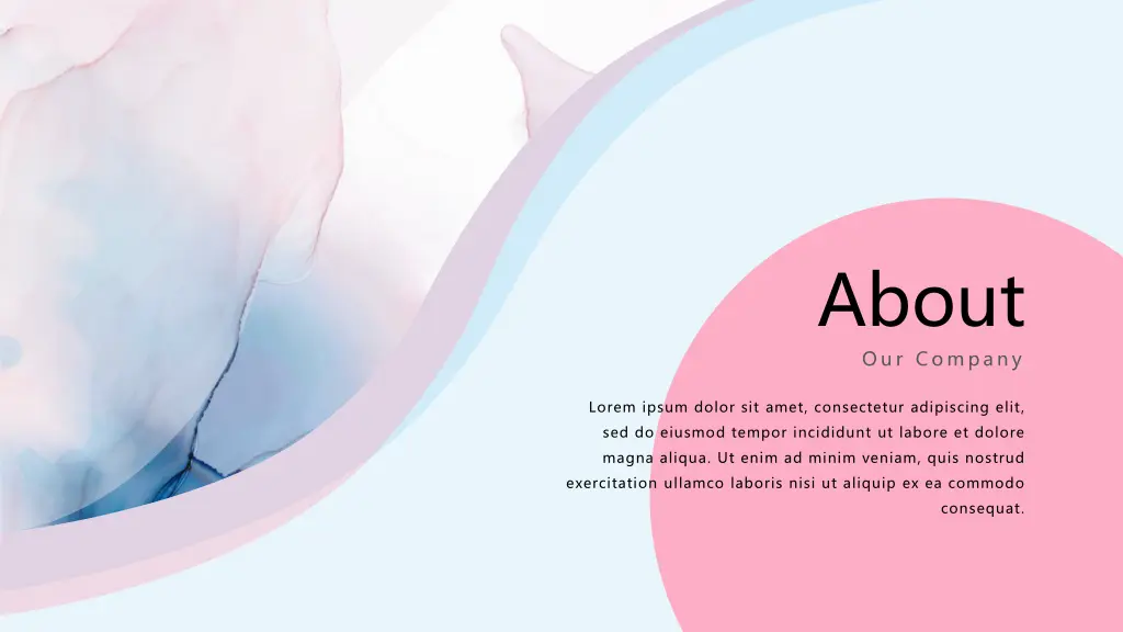 about our company