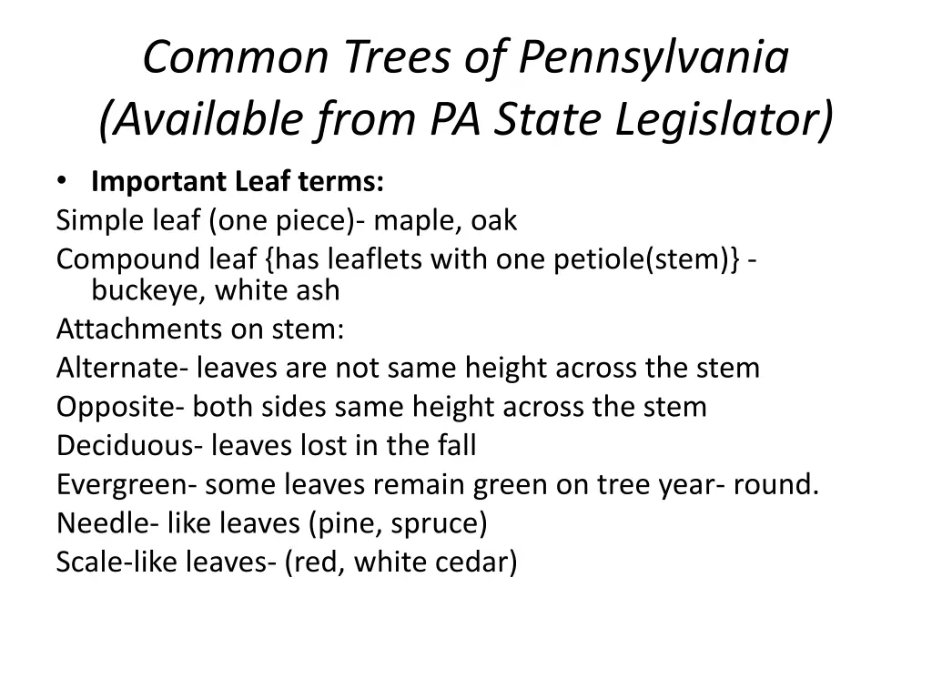 common trees of pennsylvania available from