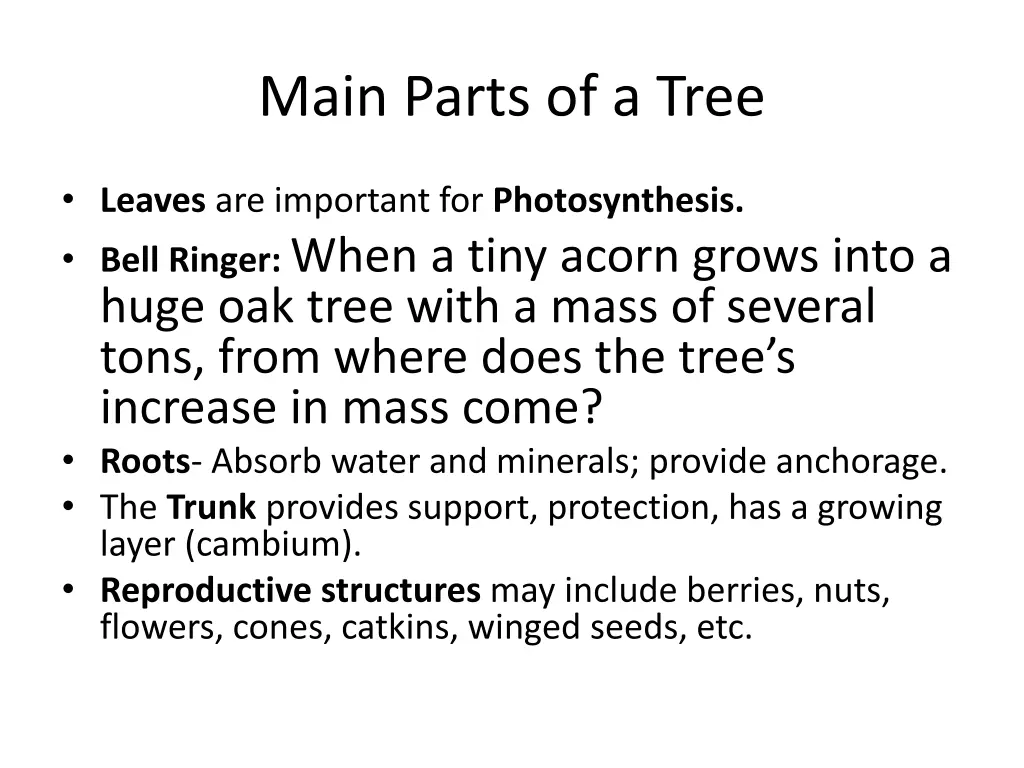 main parts of a tree