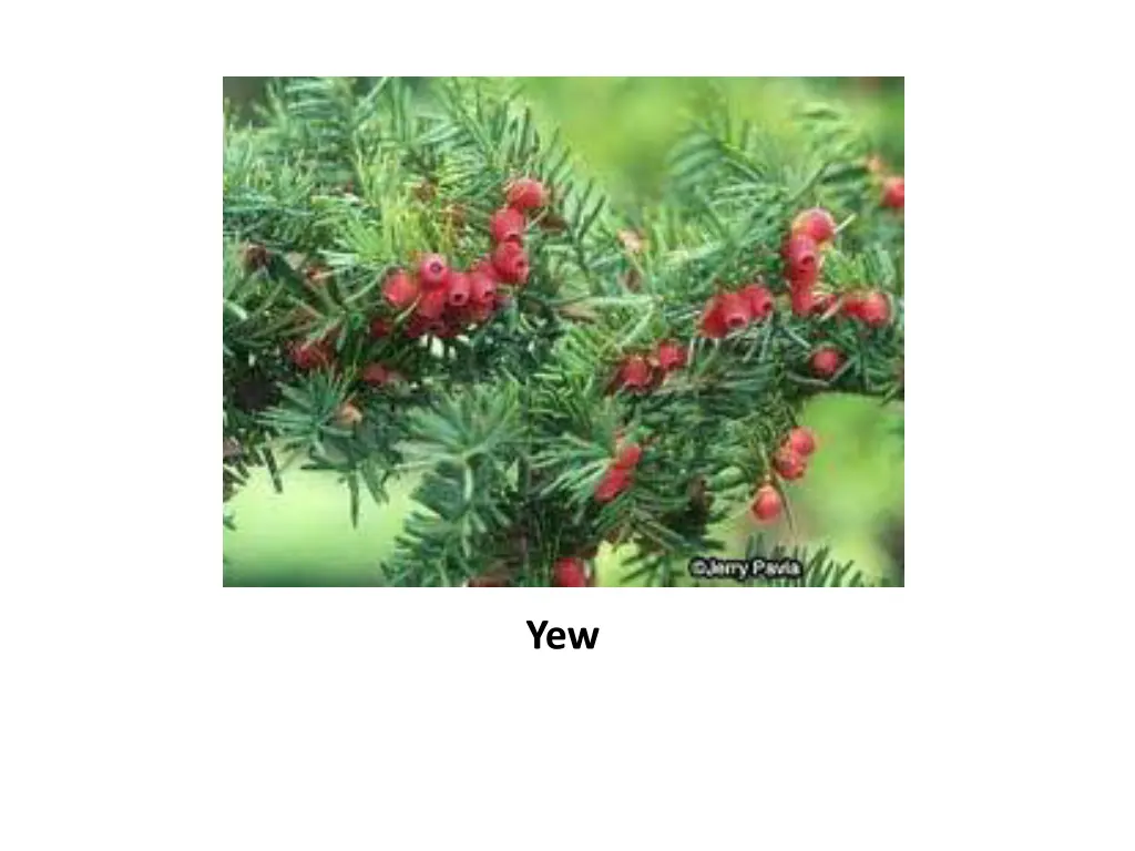 slide27