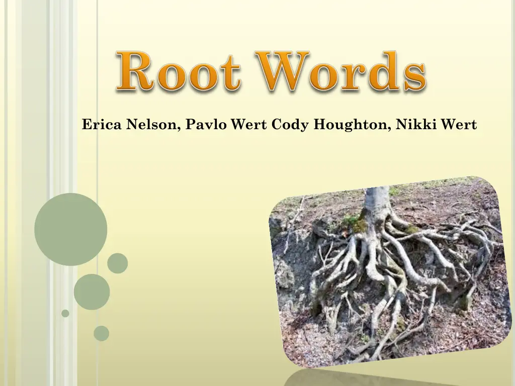 erica nelson pavlo wert cody houghton nikki wert