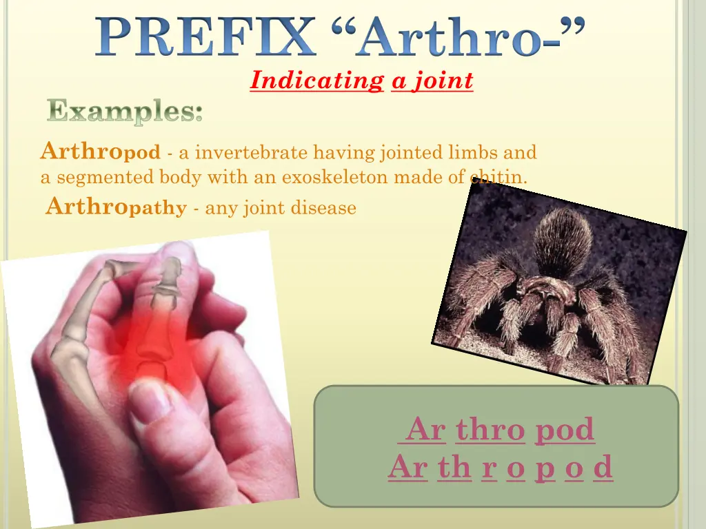 prefix arthro indicating a joint examples arthro