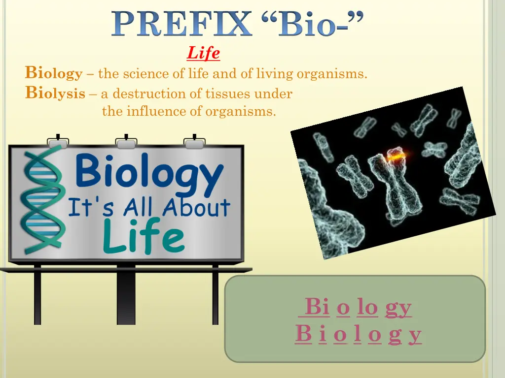 prefix bio life bi ology the science of life