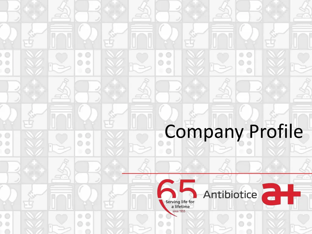 company profile