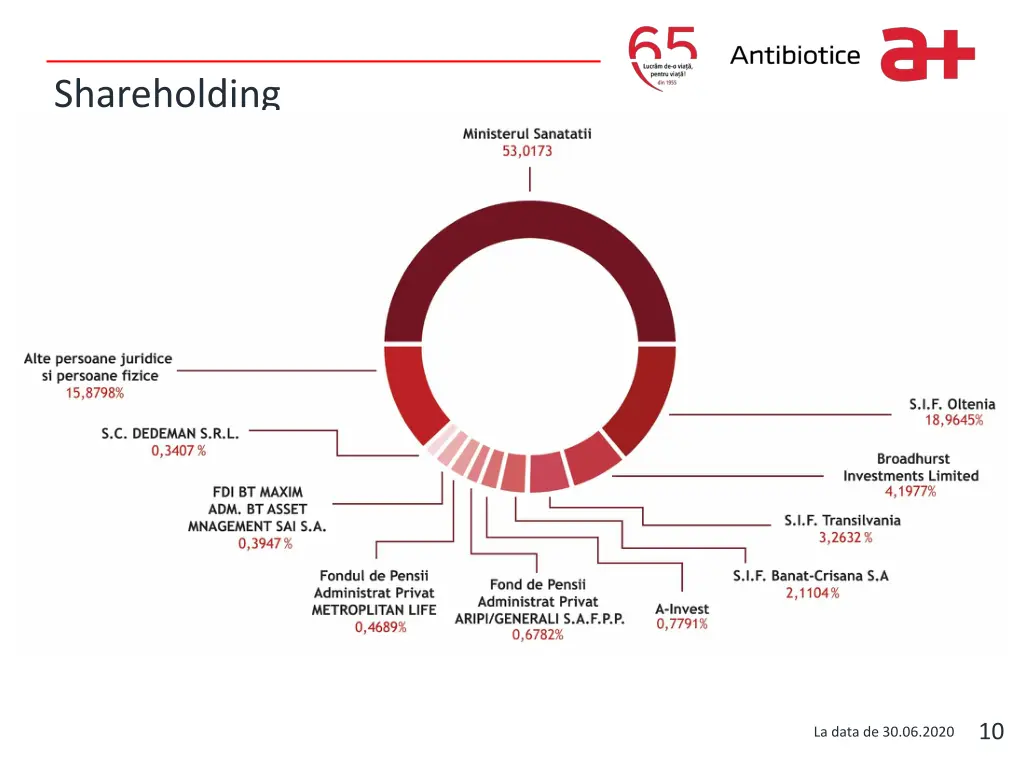 write it here shareholding