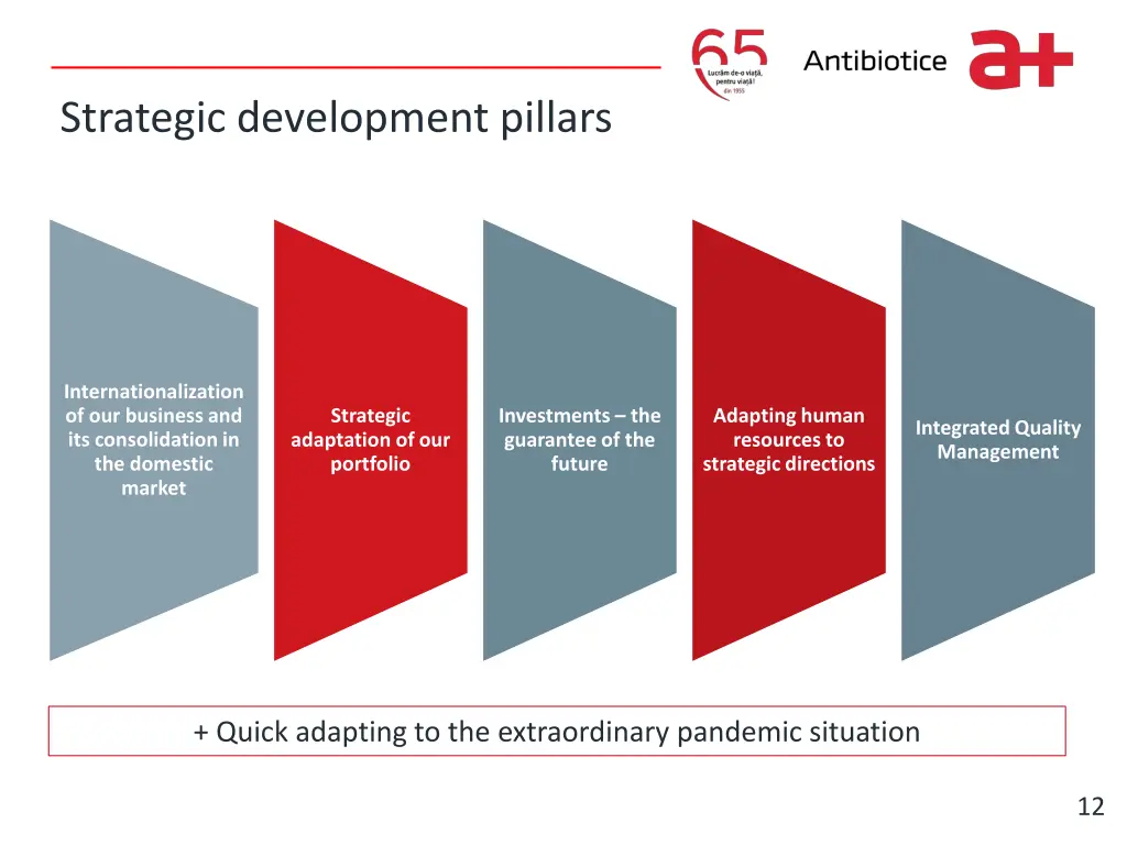 write it here strategic development pillars