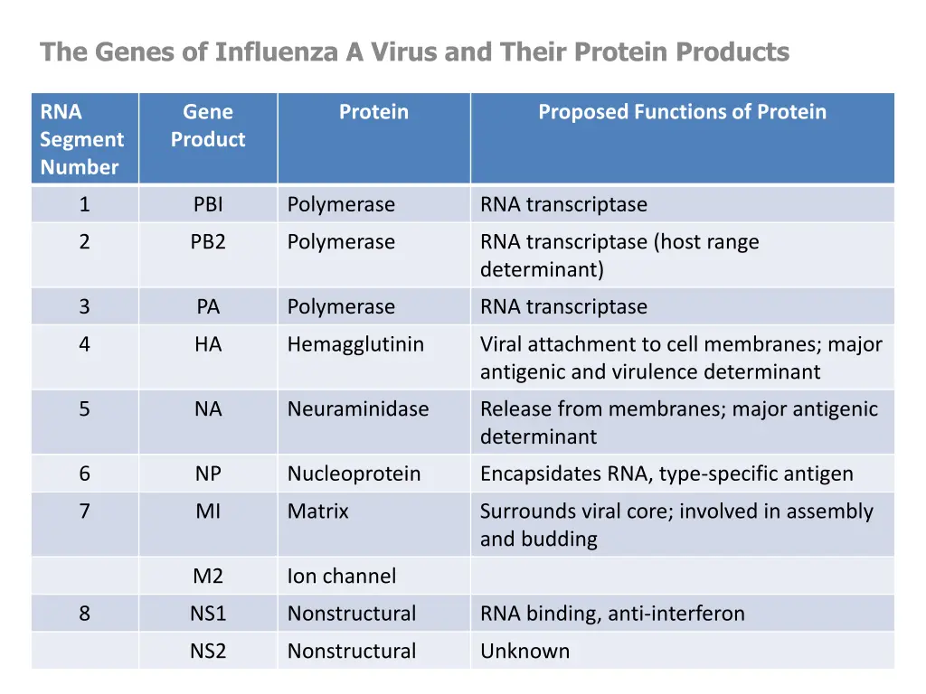 the genes of influenza a virus and their protein