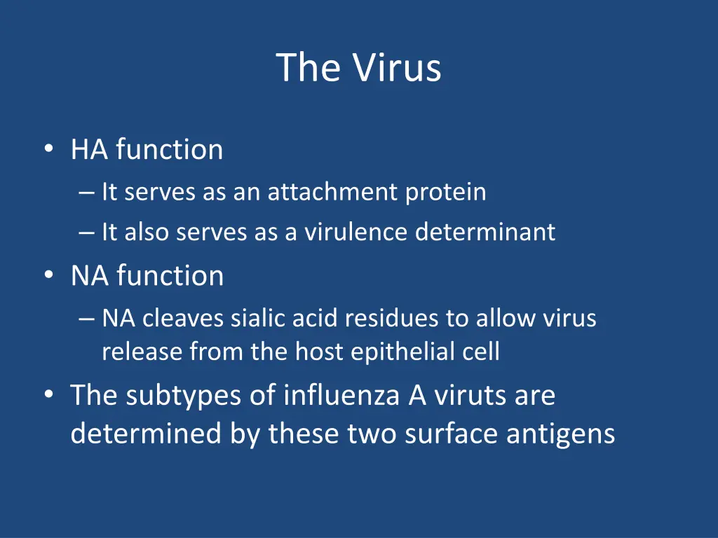 the virus 2