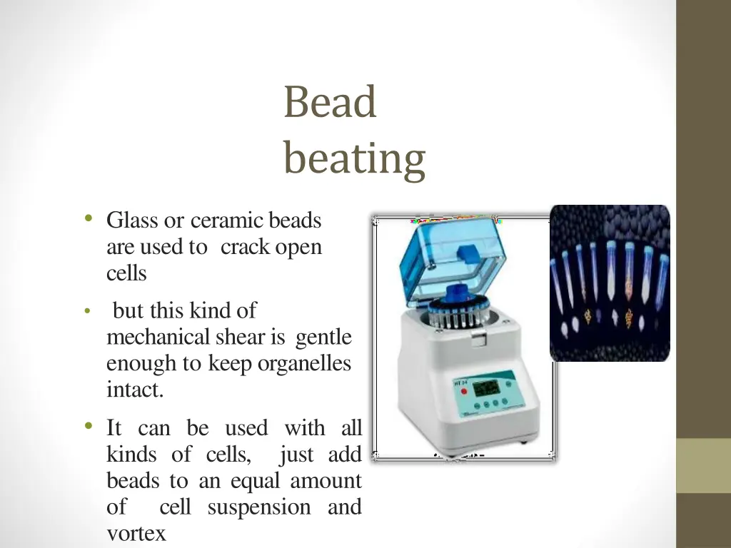 bead beating