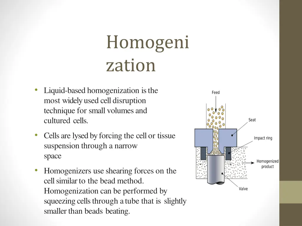 homogeni zation