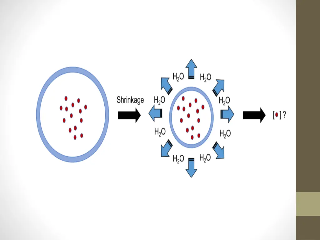 slide10