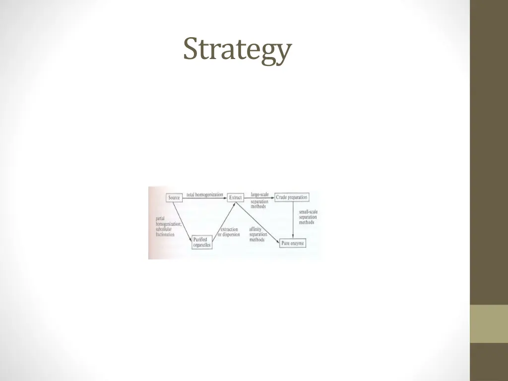 strategy
