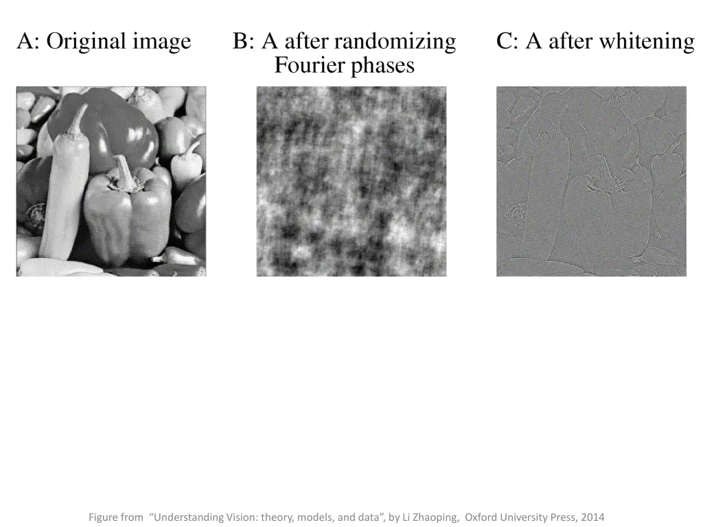 figure from understanding vision theory models