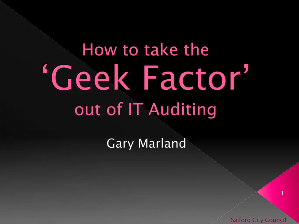 how to take the geek factor out of it auditing