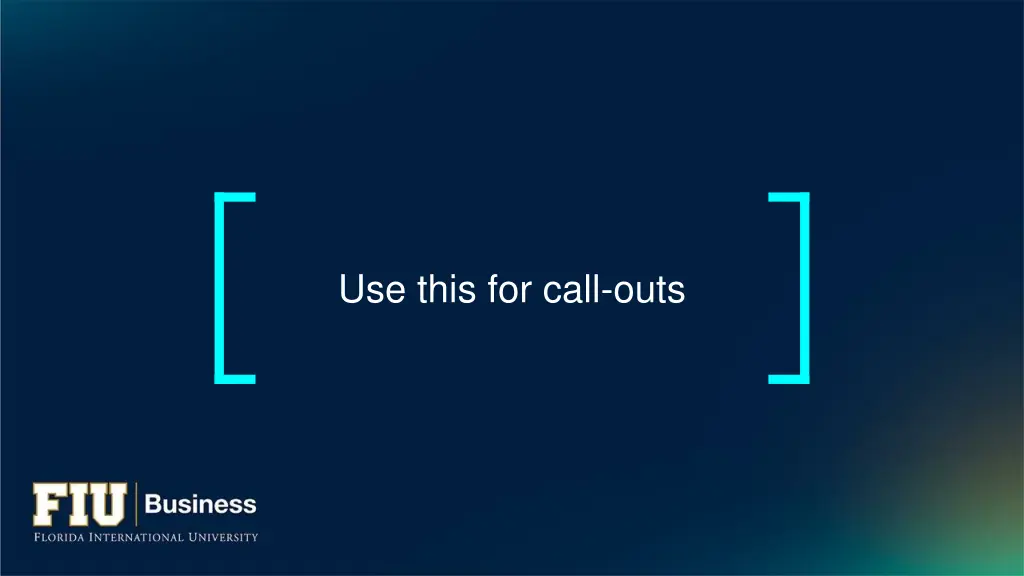 use this for call outs 1