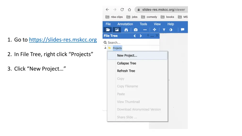 1 go to https slides res mskcc org