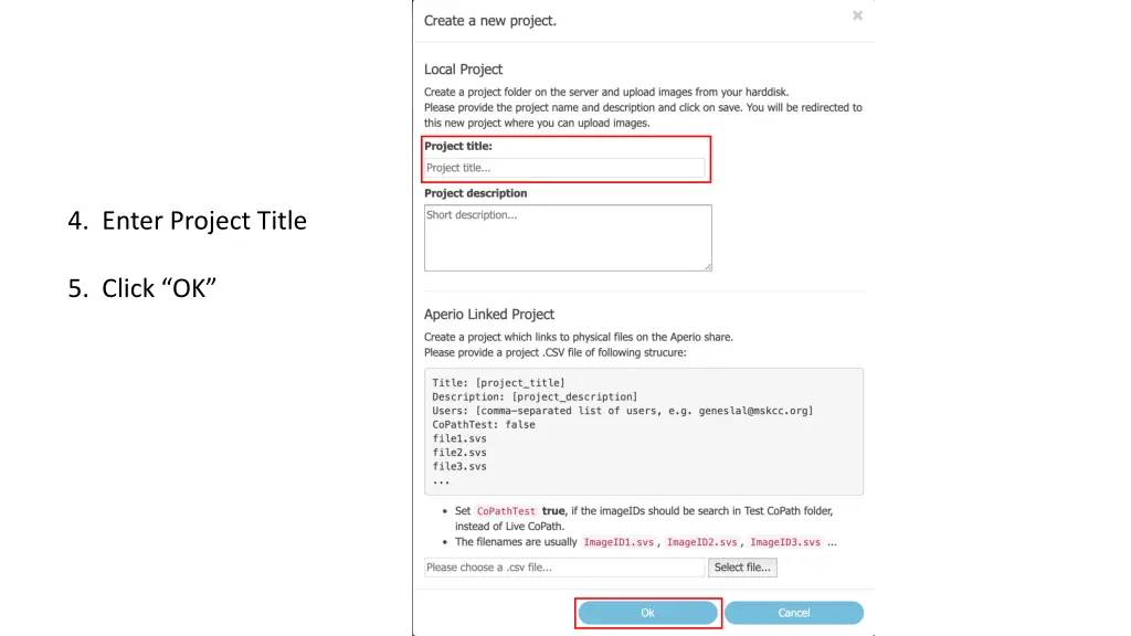 4 enter project title