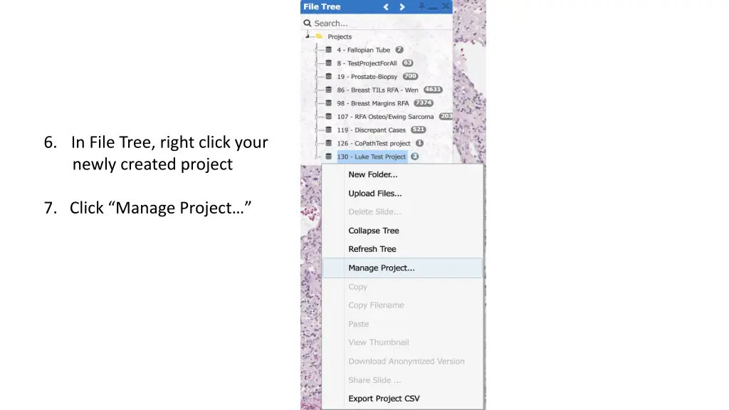 6 in file tree right click your newly created