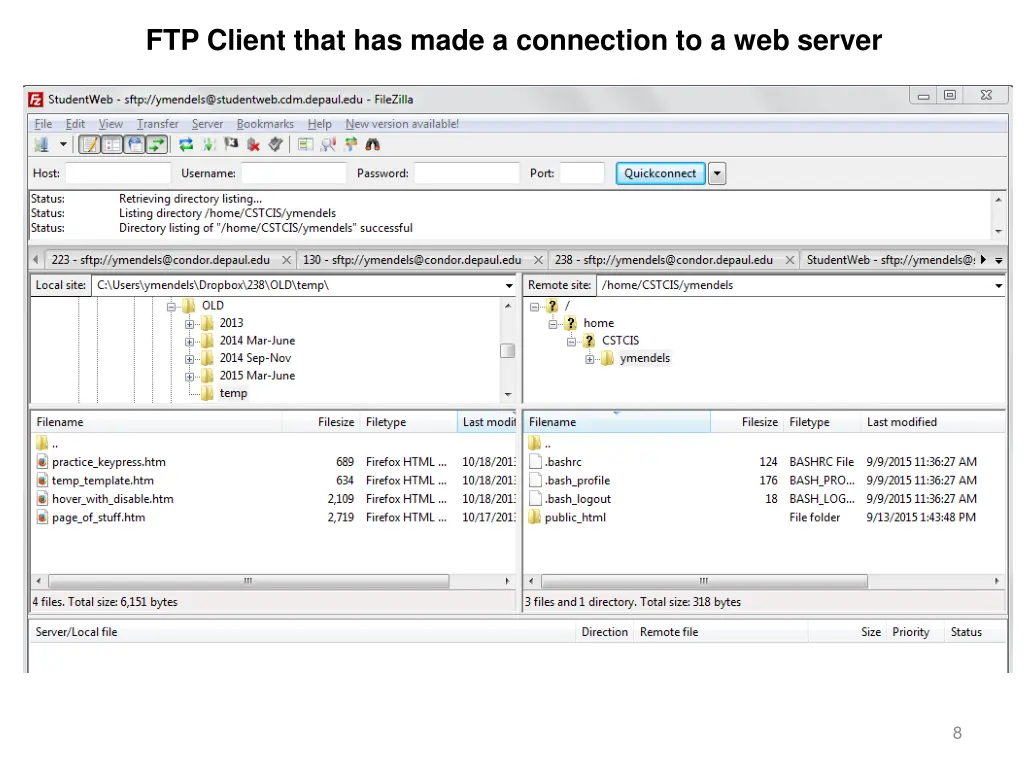ftp client that has made a connection
