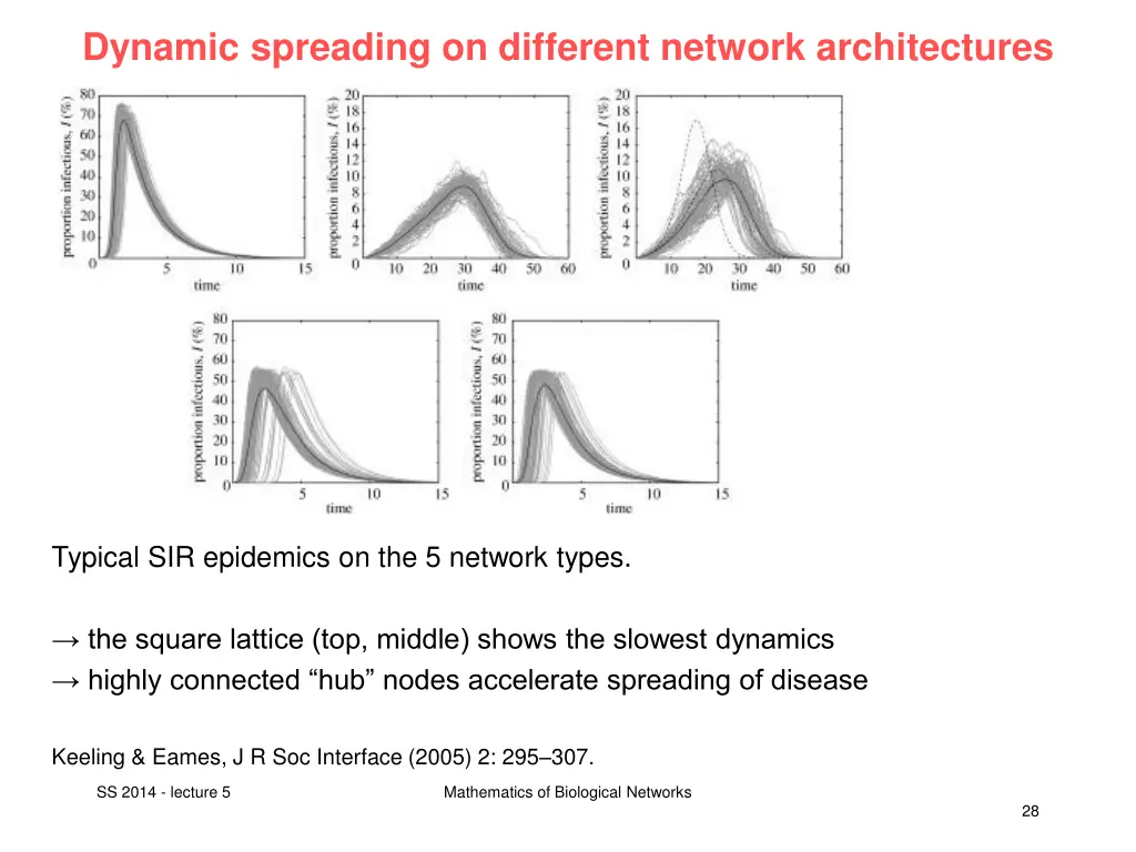 dynamic spreading on different network