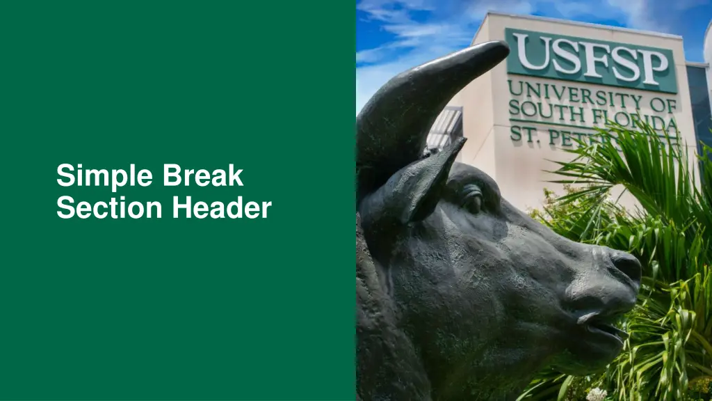 simple break section header