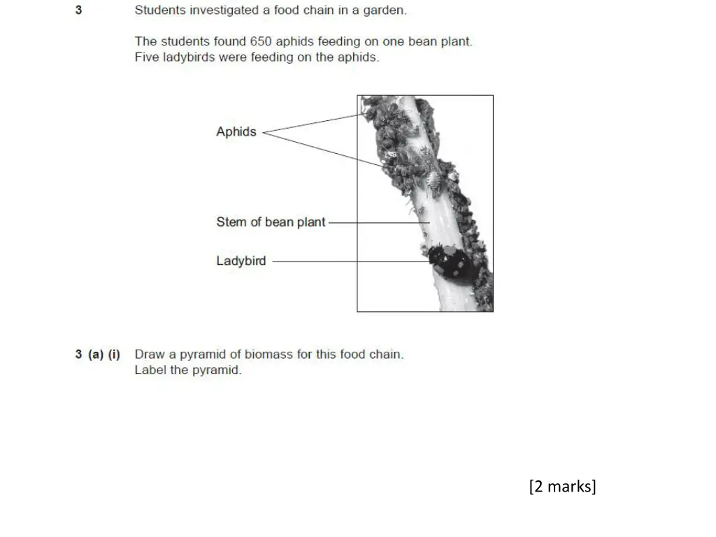 2 marks