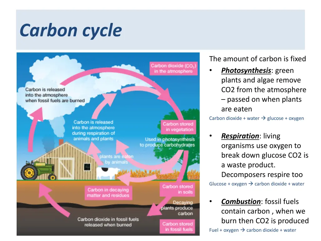 carbon cycle 1