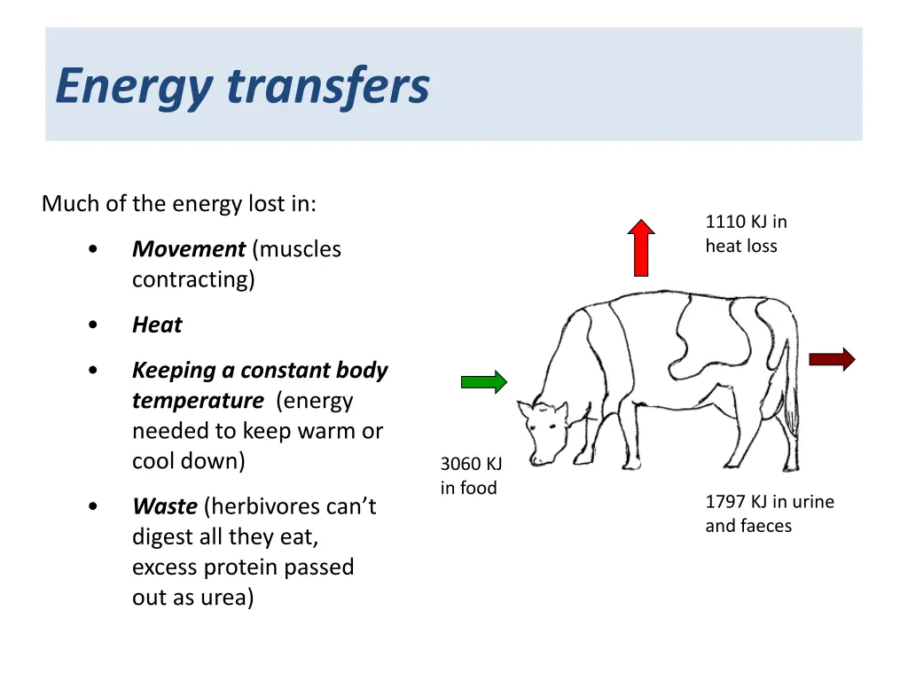 energy transfers