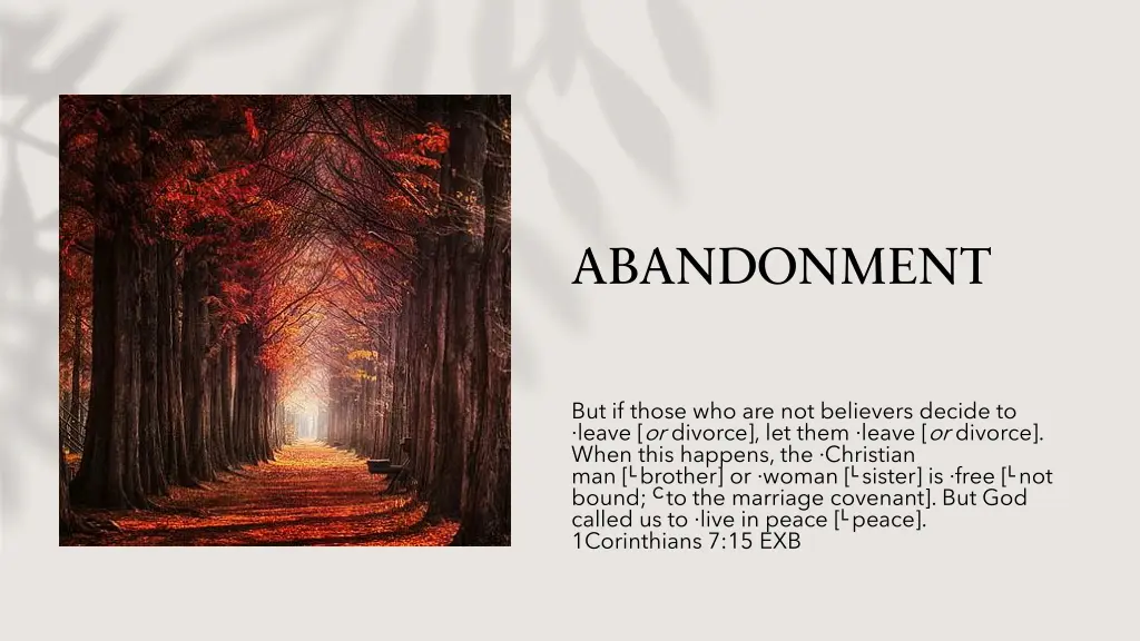 abandonment 1