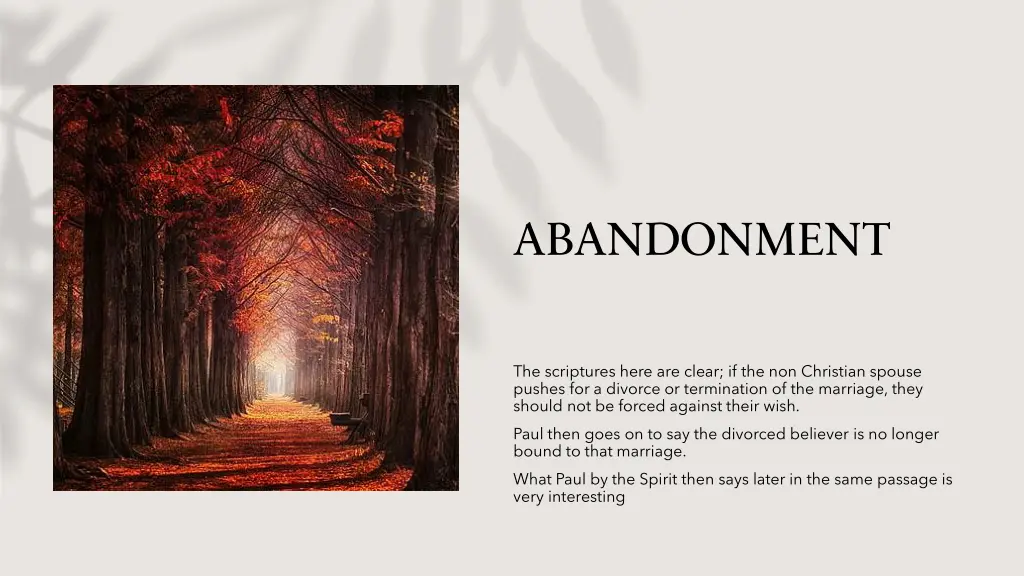abandonment 2