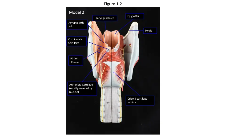 figure 1 2