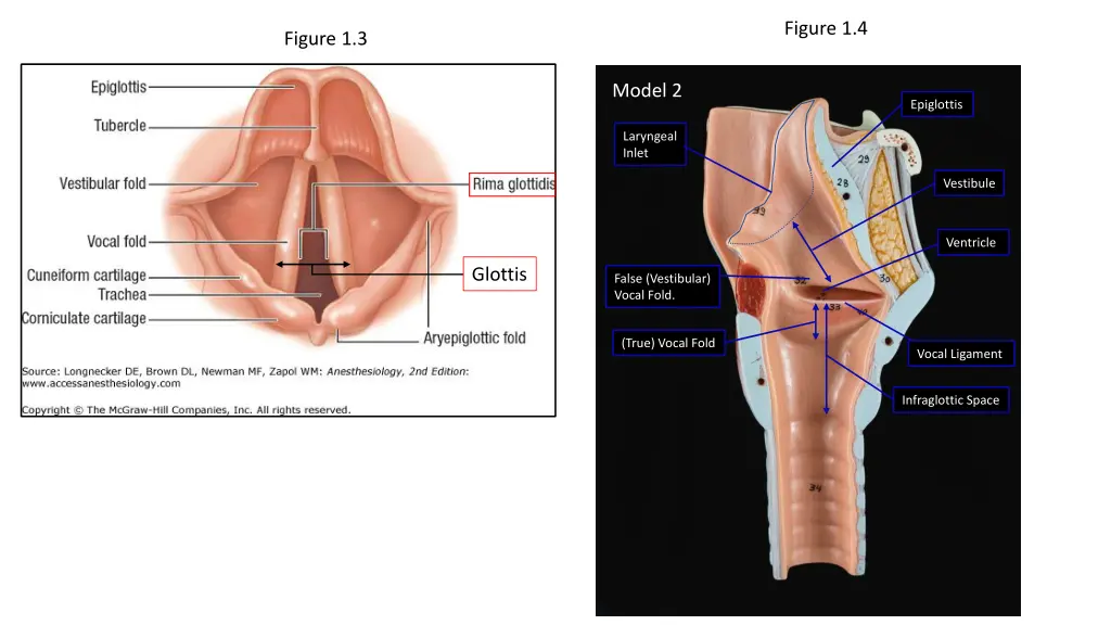 figure 1 4