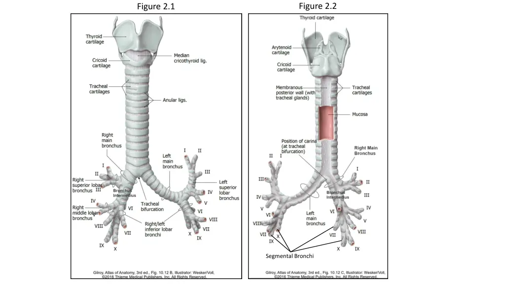 figure 2 2