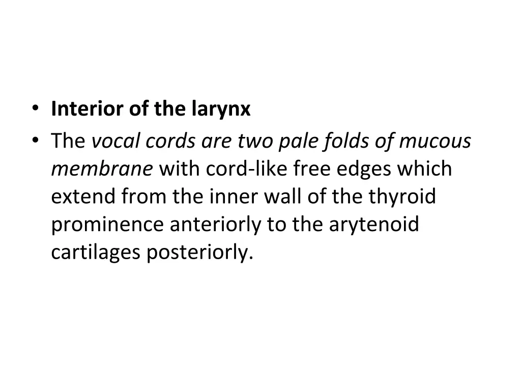 interior of the larynx the vocal cords
