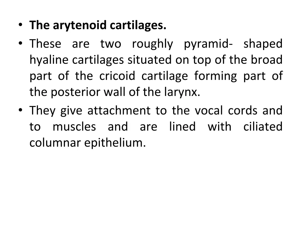 the arytenoid cartilages these are two roughly