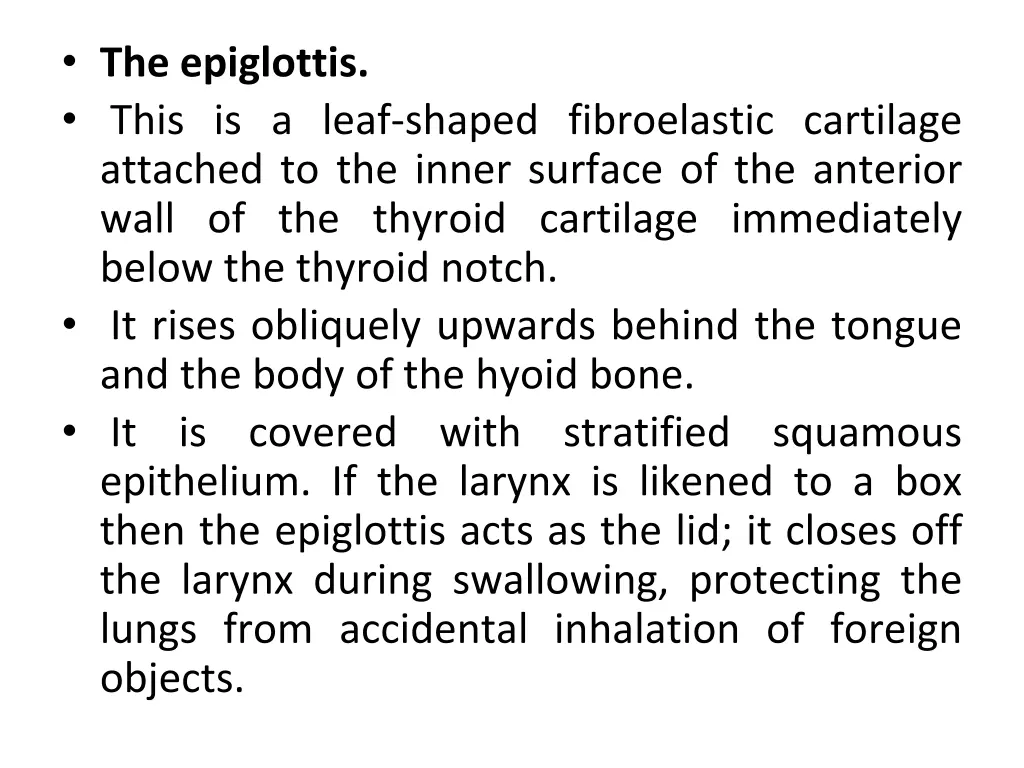 the epiglottis this is a leaf shaped fibroelastic