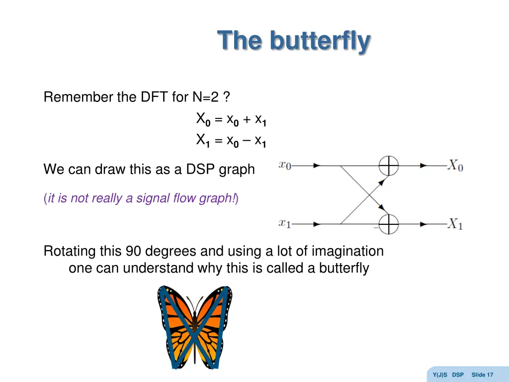 the butterfly