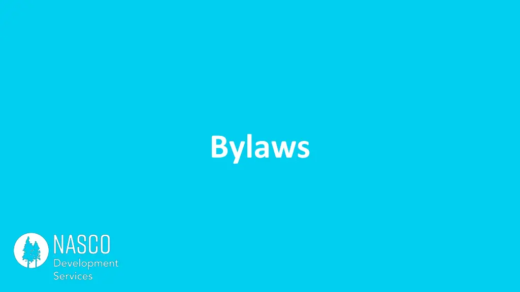 bylaws