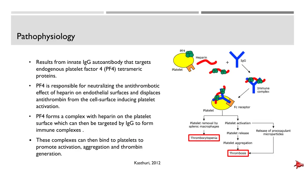 pathophysiology