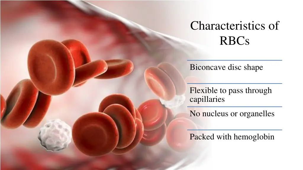 characteristics of rbcs