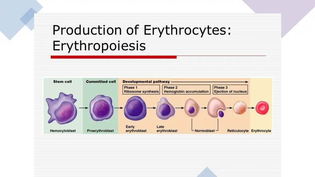 slide9