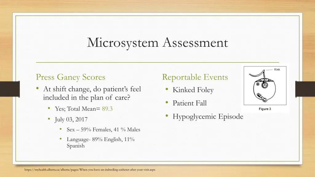microsystem assessment 1