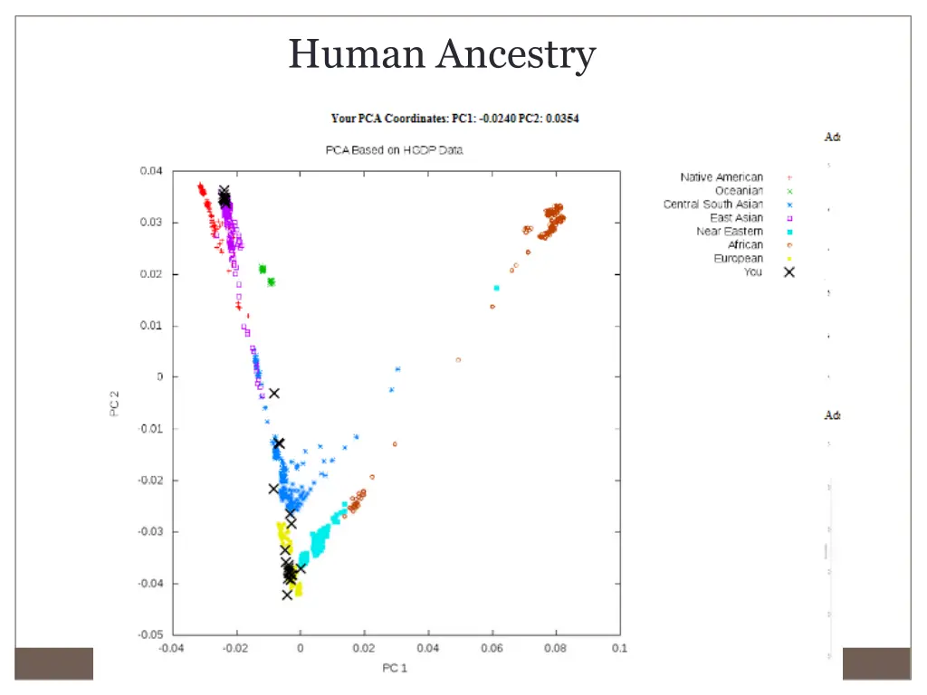 human ancestry