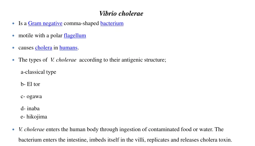 vibrio cholerae 1