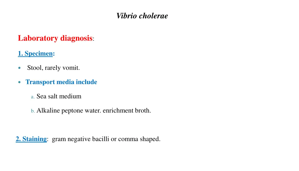 vibrio cholerae 2