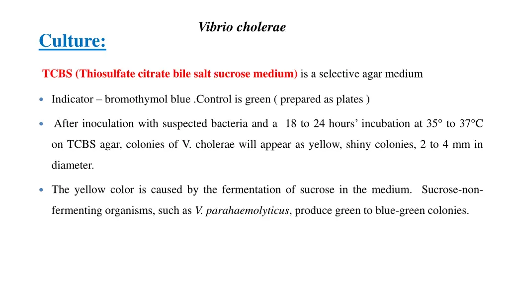 vibrio cholerae 3