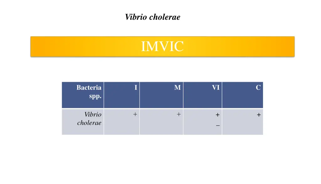 vibrio cholerae 6